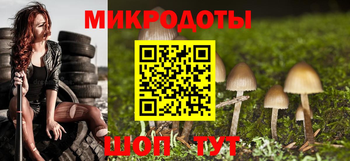 Новошахтинск  Псилоцибиновые грибы Psilocybe  Вход с VPN 